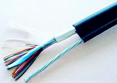 氟塑料耐高温电耐油软电缆