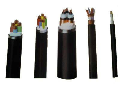 WDZ-JYJ-150 1*95环保电缆