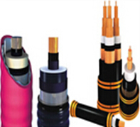 ��ȼ������±����