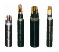 BPYJVP��Ƶ������