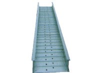 �����ֵ����ż�