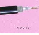 GYXTS
